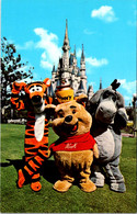 Florida Orlando Walt Disney World Winnie The Pooh Tigger And Eeyore - Orlando