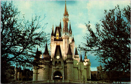 Florida Orlando Walt Disney World Cinderella Castle - Orlando