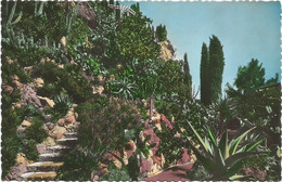 AC4650 Monaco - Montecarlo Monte Carlo - Jardin Exotique - Allè Des Aloes / Non Viaggiata - Jardin Exotique