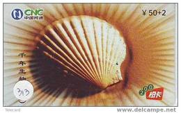 Schelpen - Seashells – Conchiglia – Sea Shell –  Coquille – Muschel – Seashell – Mus - Pesci