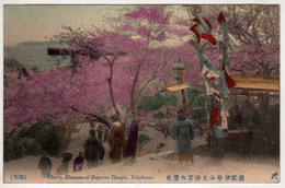 Japon : Yokohama : Cherry Blossoms Of Iseyama Temple - Yokohama