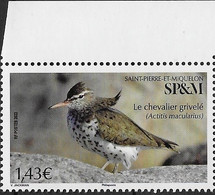 2022 Saint Pierre Et Miquelon  N° 1277 Nf** MNH . Oiseau. Chevalier Grivelé - Unused Stamps