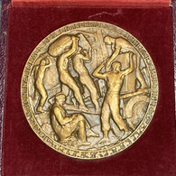 Médaille Bronze : Fédération Des Entreprises Et Commerces Multiples. Maquette Du Sculpteur Paul Landowski. 274g - Professionnels / De Société