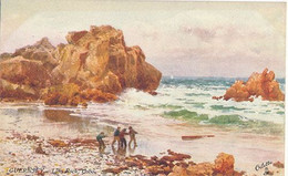 GUERNESEY - LION ROCK COBO (DESSIN DE B. WIMBUSH) - Guernsey