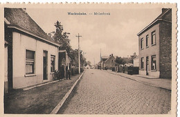 Wachtebeke Molenhoek - Wachtebeke