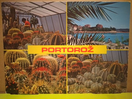 Portorož- Portorose. Cactusses Garden - Cactusses