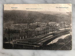 PEPINSTER - Vue Panoramique (train 1910) - Pepinster