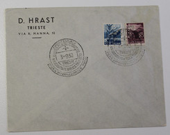 1950 Busta Ditta HRAST TRIESTE+L.15+20 DEMOCRATICA+timbro SPECIALE XIX ADUNATA FILATELICA TRIESTINA FIERA INTERNAZ-PP793 - Poststempel