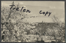 Allemagne, Werder, Blick Von Der Wachtelburg, 1959,  Gelaufen, Circulée - Werder