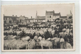 Champ De Foire   Marché Aux Bestiaux - Aizenay