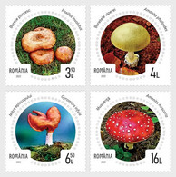 Roemenië / Romania - Postfris / MNH - Complete Set Paddenstoelen 2022 - Nuevos