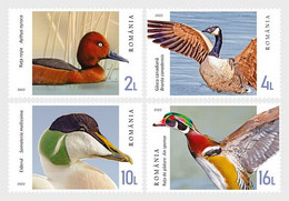 Roemenië / Romania - Postfris / MNH - Complete Set Eenden En Ganzen 2022 - Ungebraucht