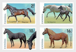 Roemenië / Romania - Postfris / MNH - Complete Set Paarden 2022 - Ungebraucht