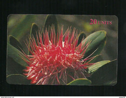 Carta Prepagata Delta Card - Botanica I Fiori N. 3 Di 16 - Sonstige & Ohne Zuordnung