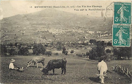 -dpts Div.-ref.BH41- Haute Loire - Retournac - La Vie Des Champs - Vacher Et Vaches - Vue Sur La Madeleine - - Retournac