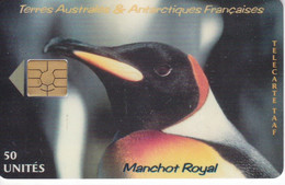 TARJETA DE TAAF DE UN PINGUINO MANCHOT ROYAL DE TIRADA 1500 (PENGUIN) TERRES AUSTRALES ET ANTARTIQUES FRANCAISES - TAAF - Terres Australes Antarctiques Françaises