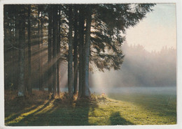 Hochschwarzwald, Baden-Württemberg - Hochschwarzwald