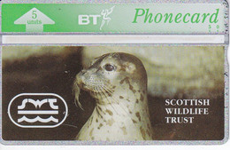 TARJETA DE REINO UNIDO DE UNA FOCA (SEAL) NUEVA-MINT - Andere & Zonder Classificatie