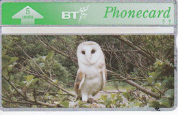 TARJETA DE REINO UNIDO DE UNA LECHUZA (BUHO-OWL-CHOUETTE) NUEVA-MINT - Andere & Zonder Classificatie