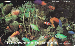 TARJETA DE HAWAII DE UNOS PECES DE TIRADA 1500 (PEZ-FISH) NUEVA-MINT - Hawaii