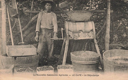 CPA NOUVELLE CALEDONIE Agricole - Le Café - Le Dépulpage - - Nieuw-Caledonië