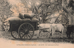 CPA NOUVELLE CALEDONIE Agricole - Le Café - En Route Pour Le Port - Charette Et Attelage - Nouvelle-Calédonie