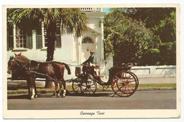 AC4673 Charleston - Timothy Ford House - Carriage Taxi / Viaggiata - Charleston