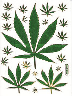 Cannabis Aufkleber Metallic Look / Weed Sticker 1 Sheet - Scrapbooking