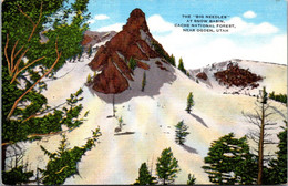 Utah Cache National Forest The Big Needles At Snow Basin Near Ogden - Ogden