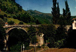 Bidarray Le Pont Noblia      CPM Ou CPSM - Bidarray