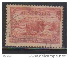 Australia - Australie - 1934 - Centenary Of Captain John MacArhur - Sheep, Farm Animal, Merino Ram MI 123 -  - Used - Usados