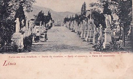 LIMA                    PARTE DEL CEMENTERIO                       PRECURSEUR       DIM 83*139 MM - Pérou