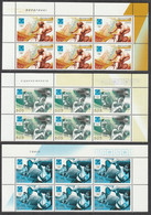 Belarus 2004 Olympic Games Of Athens Set MNH  In Blocks Of 6 (P1) - Summer 2004: Athens