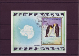 Asie - Umm Al Quiwain - BLF Antartica - 3615 - Umm Al-Qiwain