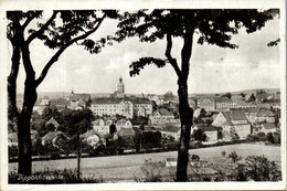 41725 - Deutschland - Dippoldiswalde , Panorama - Gelaufen - Dippoldiswalde