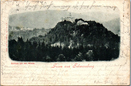 41798 - Deutschland - Schwarzberg , Gruss Aus , Schloss Von Der Wiese - Gelaufen - Schwarzenberg (Erzgeb.)