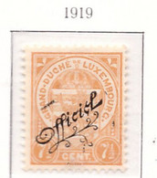 PIA - LUSSEMBURGO - 1919 : Francobollo Di Servizio - Tipo Del 1906-07 Sovrastampato - (Yv Service 101) - Servizio