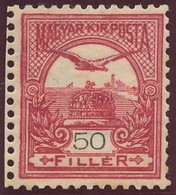 1900. Turul 50f Stamp - Unused Stamps