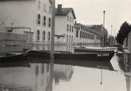 Macon Inondations 1981 Crue De La Saône Rue De La République - Floods