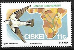 Ciskei (South Africa ) - MNH ** 1984 : Banded Martin  -  Neophedina Cincta - Golondrinas