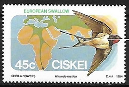 Ciskei (South Africa ) - MNH ** 1984 :  Barn Swallow  -  Hirundo Rustica - Rondini