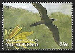 Micronesia - MNH ** 1991 :    Brown Noddy  -  Anous Stolidus - Gaviotas