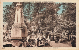 Auriac Sur Vendinelle * Le Jardin Public Et Le Monument Aux Morts * Fête Cérémonie Inauguration - Autres & Non Classés