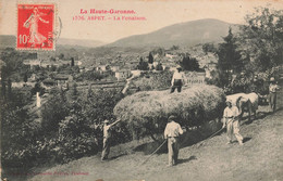 Aspet * La Fenaison * Travail Aux Champs * Agriculture * Attelage Boeufs - Autres & Non Classés