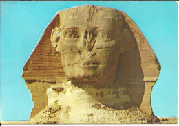 Giza (Egitto, Egypt) The Head Of The Great Sphinx, Testa Della Sfinge, Tete De La Sphinx - Sfinge