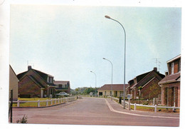 46617-ZE-59-BERLAIMONT-Clos Des Courtils--------------voitures - Berlaimont