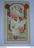 I Greet The Dear Valentine Dove Pigeon Colombes Embossed Relief 1913 Fresno Cal USA Post Card Series 243 B - Saint-Valentin