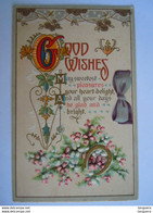 Good Wishes May Sweetest Pleasures Your Heart Delight.. Embossed Relief Birthday Series 894-B 1910 J.J. Marks N.Y. - Naissance