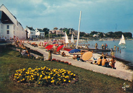 SAINT PIERRE LA PLAGE PRESQU'ILE DE QUIBERON (DIL391) - Quiberon