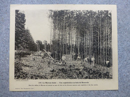 Le Morvan Boisé, Exploitation Au Bois De Beauvais, Vers 1930 ; G 02 - Zonder Classificatie